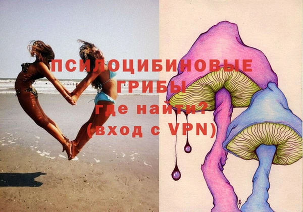 PSILOCYBIN Шадринск