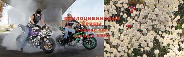 PSILOCYBIN Шадринск